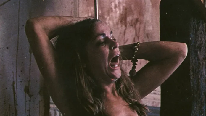 The Texas Chain Saw Massacre (1974) directed by Tobe Hooper, Vortex – Filmdb.co.uk